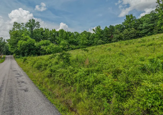 Photo 2 of Land for sale at 0 Rayburn Crk Rd, Collinwood, TN 38450 | MLS# 3510908 | Listing updated on 2026-08-20