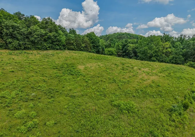 Photo 3 of House for sale at 0 Rayburn Crk Rd, Collinwood, TN 38450 | MLS# 3510908 | Listing updated on 2026-08-20