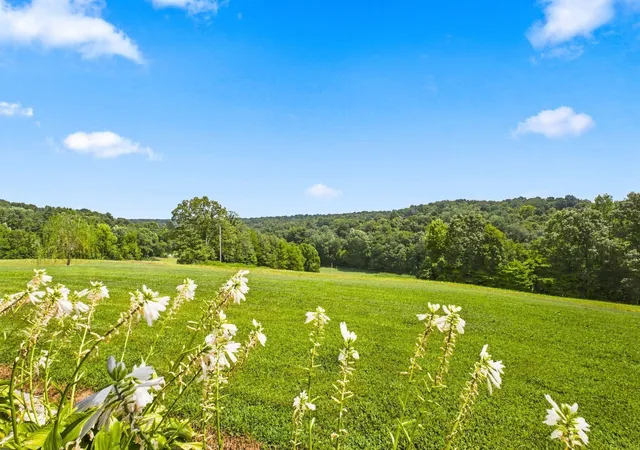 1st image of 1043 Murphy Hollow Road, Vanleer, TN 37181 | MLS# 3516410