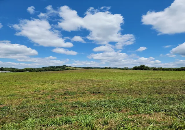 6th image of 0 Oscar Crowell, Beechgrove, TN 37018 | MLS# 3511062