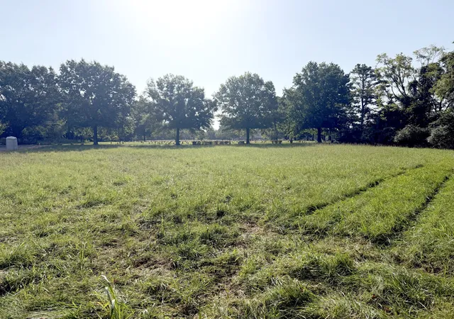 1st image of 5029 Florence Rd, Murfreesboro, TN 37129 | MLS# 3514826