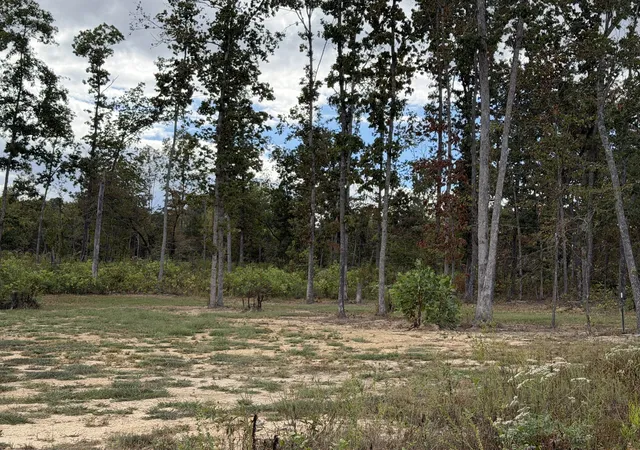 Photo 1 of Land for sale at 0 Brinkley Rd, Wartrace, TN 37183 | MLS# 3601885 | Listing updated on 2026-09-28