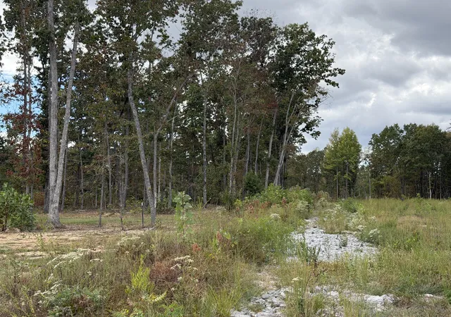 Photo 2 of Land for sale at 0 Brinkley Rd, Wartrace, TN 37183 | MLS# 3601885 | Listing updated on 2026-09-28