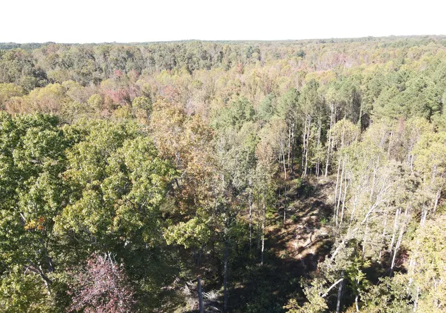 Photo 3 of Land for sale at 1 Copper Spring Rd, Springville, TN 38256 | MLS# 3511176 | Listing updated on 2026-08-13