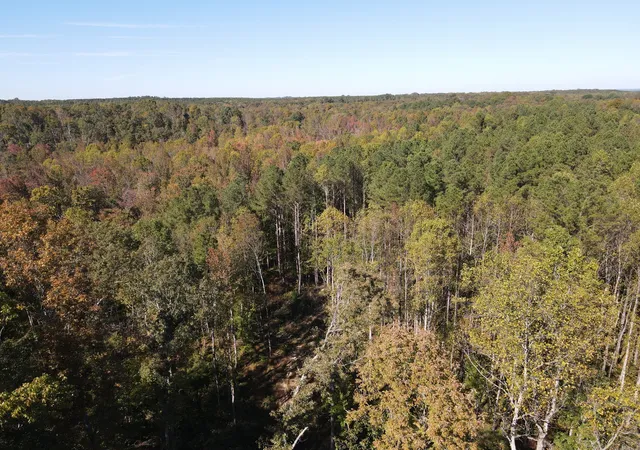 Photo 4 of Land for sale at 1 Copper Spring Rd, Springville, TN 38256 | MLS# 3511176 | Listing updated on 2026-08-13