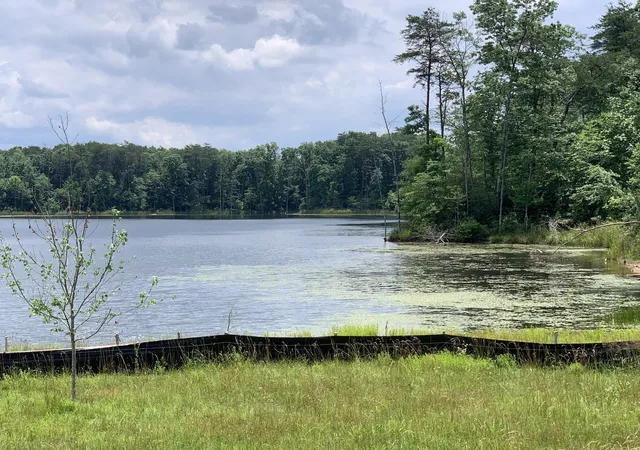 Photo 2 of Land for sale at 312 Hemlock Cove, Tracy City, TN 37387 | MLS# 3526931 | Listing updated on 2026-10-06