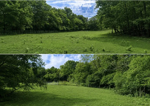 2nd image of 1820 New Hwy 7, Columbia, TN 38401 | MLS# 3520457