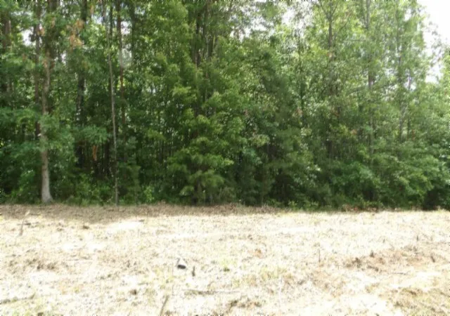 5th image of 0 Hilltop Lane, Wilder, TN 38589 | MLS# 3512376