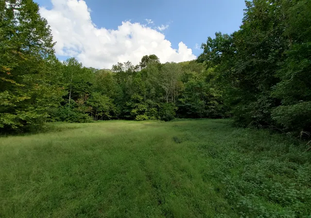 30th image of 5614 Ashland City Hwy, Nashville, TN 37218 | MLS# 3512470