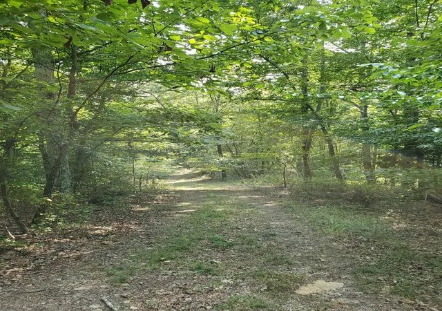 3rd image of 5614 Ashland City Hwy, Nashville, TN 37218 | MLS# 3512470