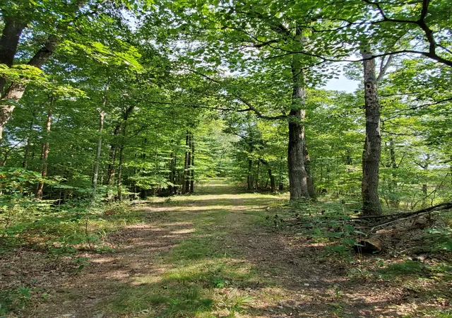 4th image of 5614 Ashland City Hwy, Nashville, TN 37218 | MLS# 3512470