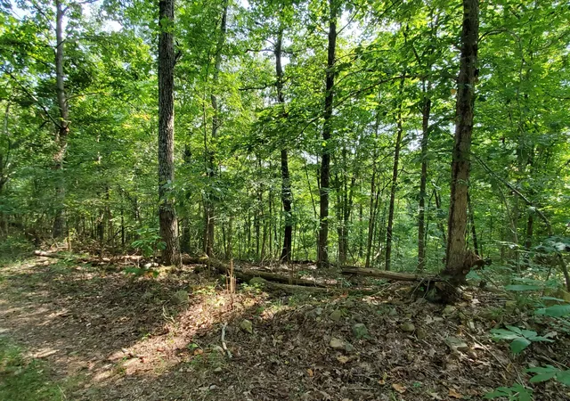 5th image of 5614 Ashland City Hwy, Nashville, TN 37218 | MLS# 3512470