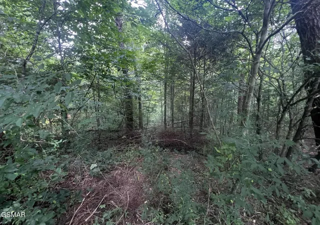 5th image of 29 Scenic Woods Way, Sevierville, TN 37876 | MLS# 3512480