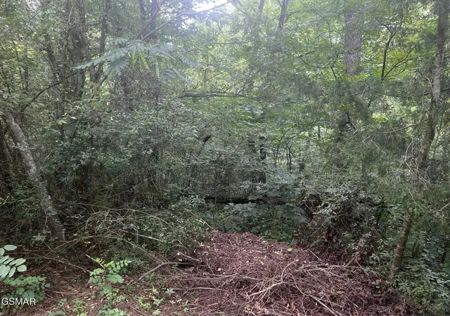 8th image of 29 Scenic Woods Way, Sevierville, TN 37876 | MLS# 3512480
