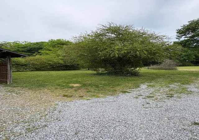 16th image of 1117 Bledsoe Dr, Etowah, TN 37331 | MLS# 3512995
