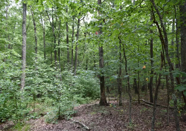 24th image of 0 Deep Woods Road, Sewanee, TN 37375 | MLS# 3512665
