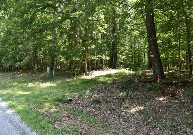 4th image of 0 Deep Woods Road, Sewanee, TN 37375 | MLS# 3512665