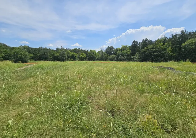 2nd image of 4235 Roxburghe Ct, Murfreesboro, TN 37128 | MLS# 3513202