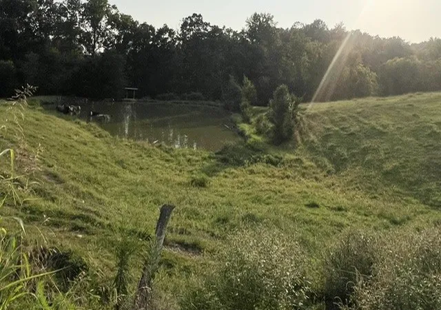Photo 3 of Land for sale at 0 Wilkerson Rd, Adolphus, KY 42120 | MLS# 3512653 | Listing updated on 2026-08-20