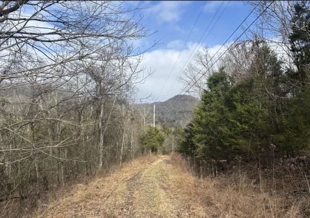 2nd image of 0 Lick Creek Rd, Hartsville, TN 37074 | MLS# 3512667