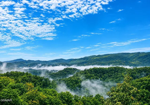 2nd image of 914 Black Bear Cub Way, Sevierville, TN 37862 | MLS# 3512770