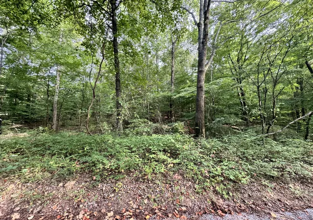 3rd image of 1 Tatum Lane Sw, Lyles, TN 37098 | MLS# 3512902