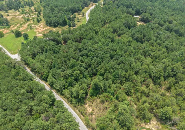 2nd image of 0 Allen Mill Bridge Rd, Camden, TN 38320 | MLS# 3514812