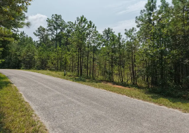 3rd image of 0 Allen Mill Bridge Rd, Camden, TN 38320 | MLS# 3514812