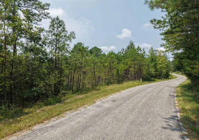 4th image of 0 Allen Mill Bridge Rd, Camden, TN 38320 | MLS# 3514812