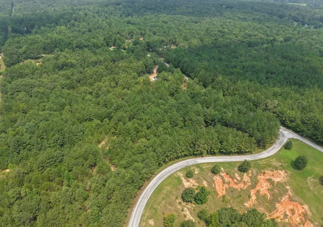5th image of 0 Allen Mill Bridge Rd, Camden, TN 38320 | MLS# 3514812