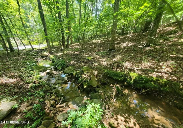 1st image of 159 Sugarbush Circle, Crossville, TN 38558 | MLS# 3512909