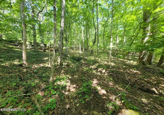 17th image of 159 Sugarbush Circle, Crossville, TN 38558 | MLS# 3512909
