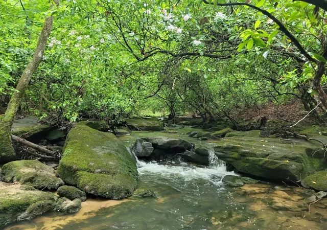 1st image of 911 Spearhead Cir, Clarkrange, TN 38553 | MLS# 3512920