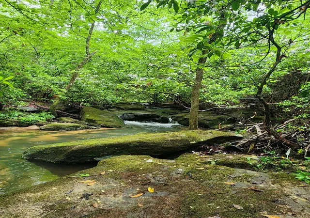3rd image of 911 Spearhead Cir, Clarkrange, TN 38553 | MLS# 3512920