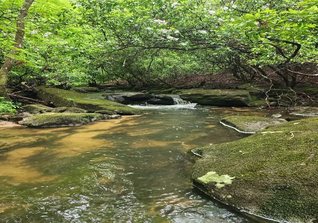 5th image of 911 Spearhead Cir, Clarkrange, TN 38553 | MLS# 3512920