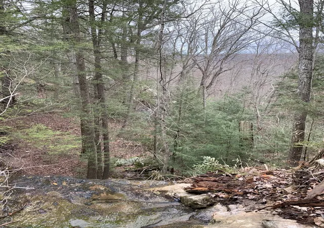18th image of 0 Parkstown Rd, Wilder, TN 38589 | MLS# 3512967