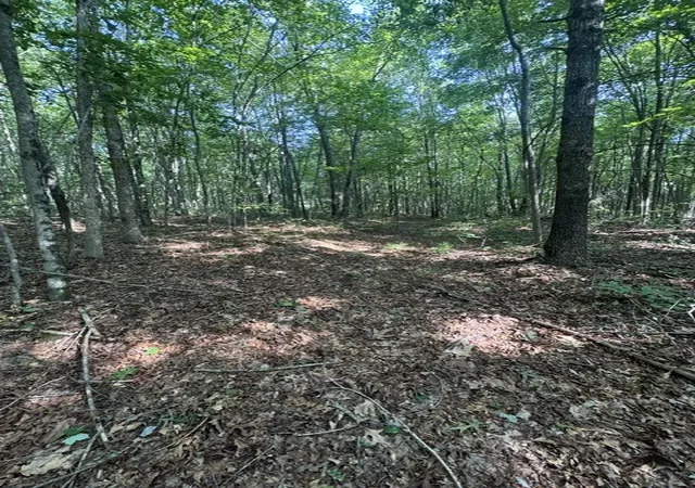 2nd image of 0 Parkstown Rd, Wilder, TN 38589 | MLS# 3512967