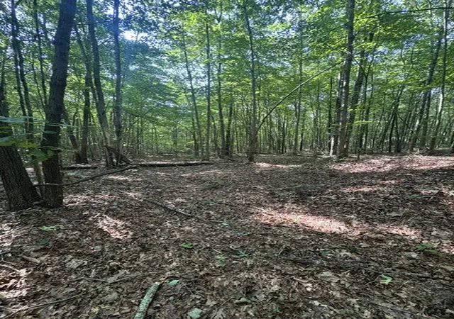 3rd image of 0 Parkstown Rd, Wilder, TN 38589 | MLS# 3512967