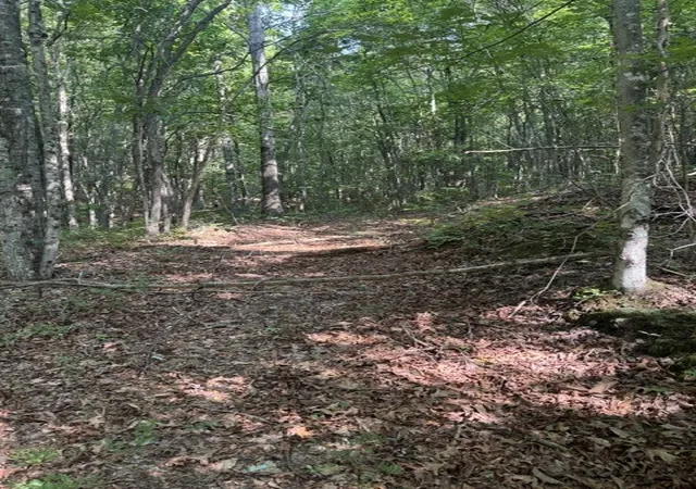 5th image of 0 Parkstown Rd, Wilder, TN 38589 | MLS# 3512967