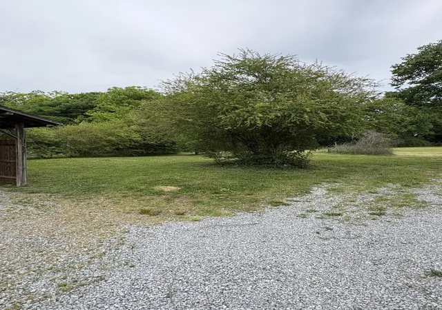 image of 1117 Bledsoe Road, Etowah, TN 37331 | MLS# 3512964