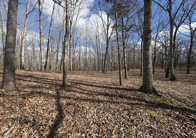 Photo 1 of Land for sale at 0 Daniel Rd, Waverly, TN 37185 | MLS# 3513003 | Listing updated on 2026-08-20