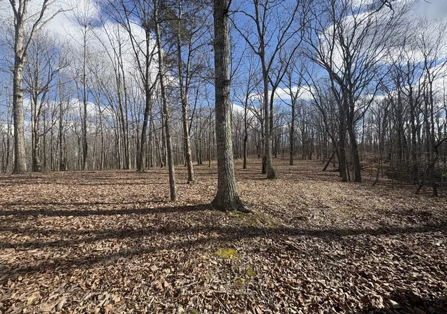 Photo 2 of Land for sale at 0 Daniel Rd, Waverly, TN 37185 | MLS# 3513003 | Listing updated on 2026-08-20