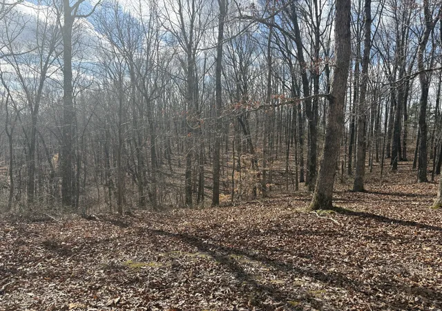 Photo 3 of Land for sale at 0 Daniel Rd, Waverly, TN 37185 | MLS# 3513003 | Listing updated on 2026-08-20