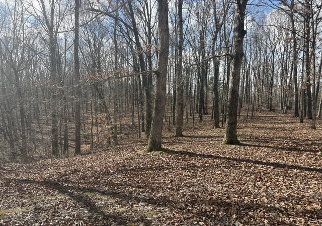Photo 3 of Land for sale at 0 Daniel Rd, Waverly, TN 37185 | MLS# 3513003 | Listing updated on 2026-08-20