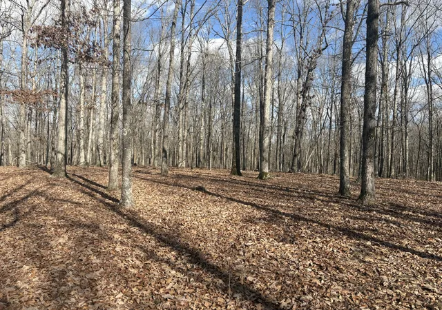 Photo 4 of Land for sale at 0 Daniel Rd, Waverly, TN 37185 | MLS# 3513003 | Listing updated on 2026-08-20