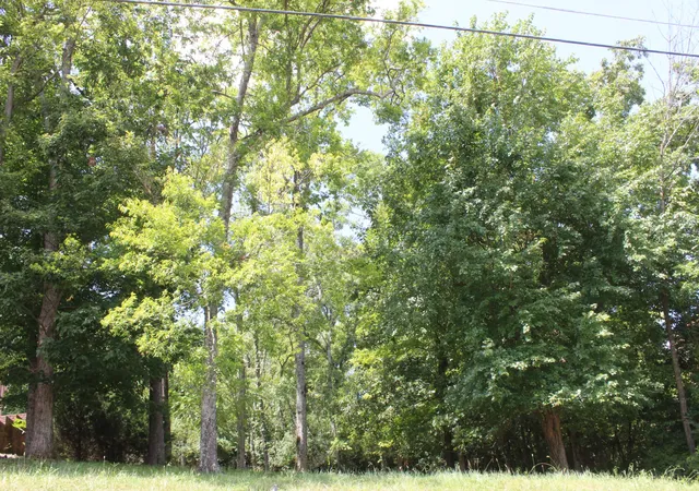 18th image of 0 Spy Glass Way Lot 59, Hendersonville, TN 37075 | MLS# 3514869