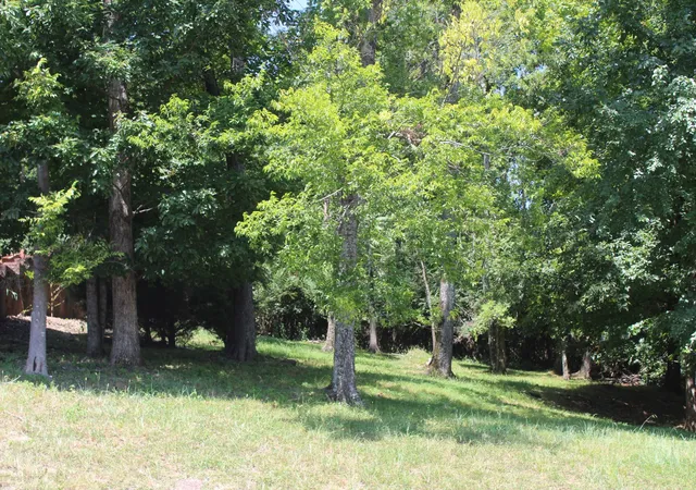 3rd image of 0 Spy Glass Way Lot 59, Hendersonville, TN 37075 | MLS# 3514869