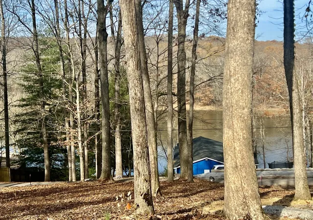 Photo 2 of Land for sale at 559 Hickman Shores Rd, Dover, TN 37058 | MLS# 3527905 | Listing updated on 2026-08-31