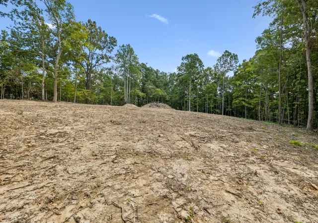 4th image of 3438 Dobbins Pike, Portland, TN 37148 | MLS# 3513797