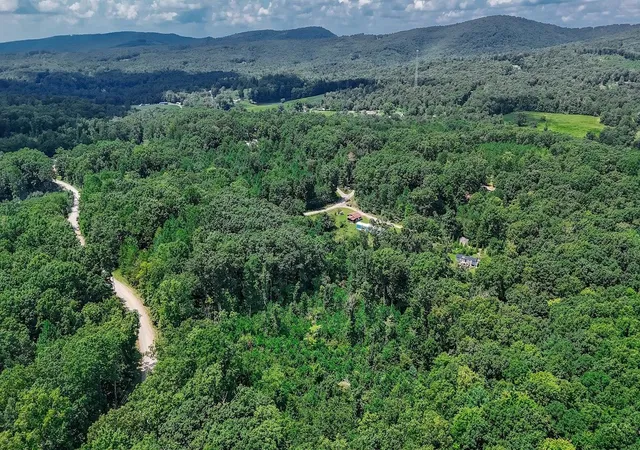 49th image of 136 Holly Dr, Spring City, TN 37381 | MLS# 3513238